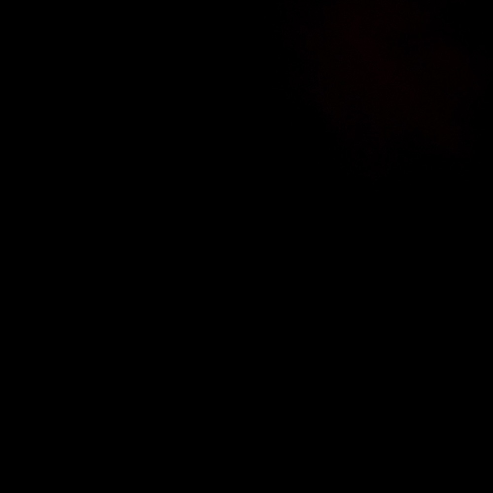 Meet your Posher, Hayley